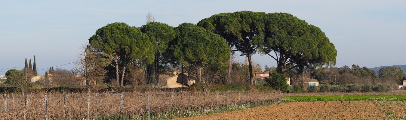 MONTFORT-SUR-ARGENS VAR