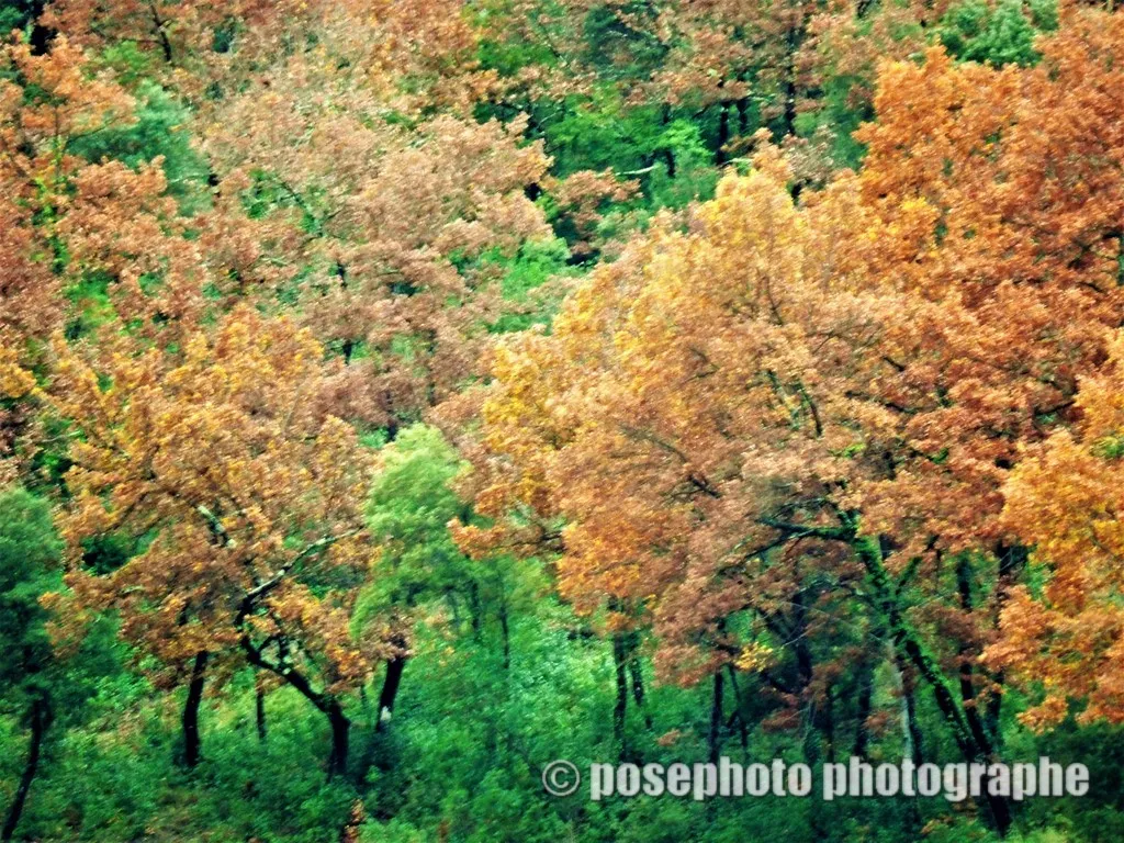 automne var