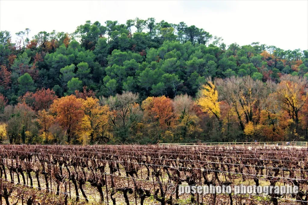 automne var