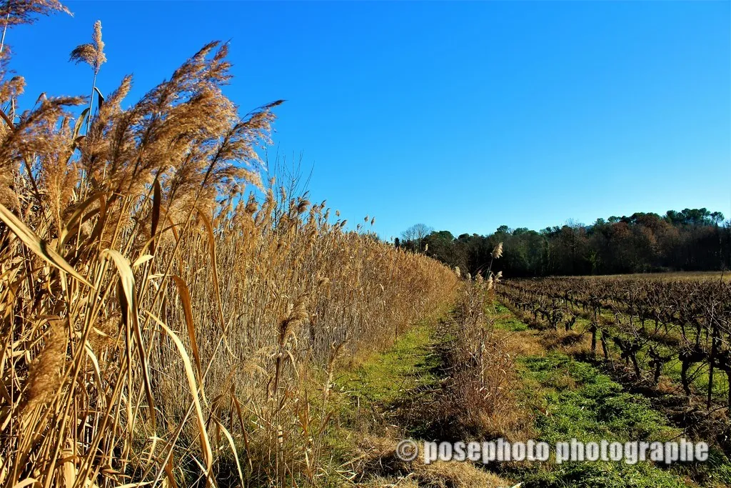 paysage var