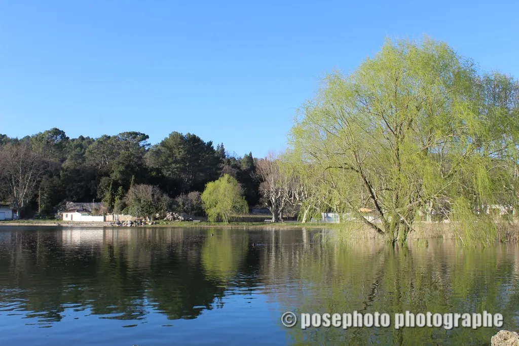 paysage var