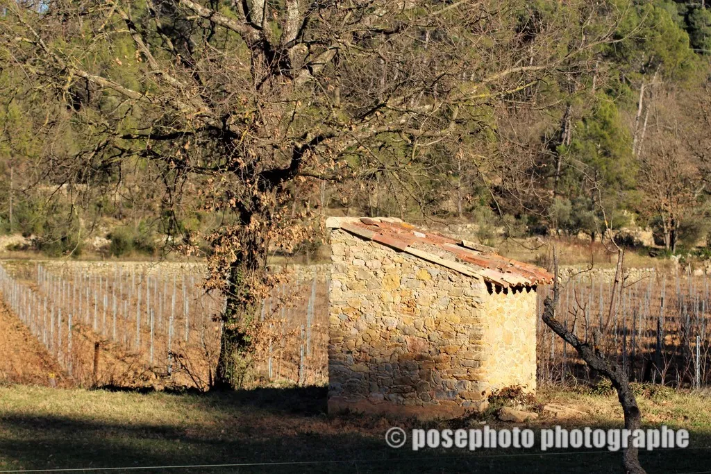automne var