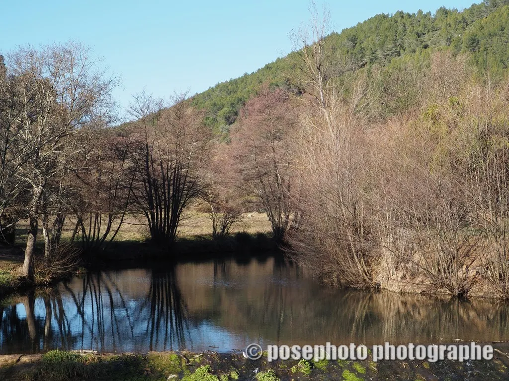 nature var
