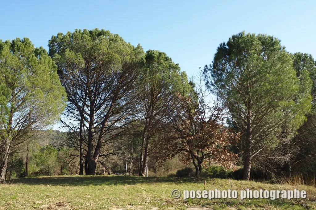 paysage var