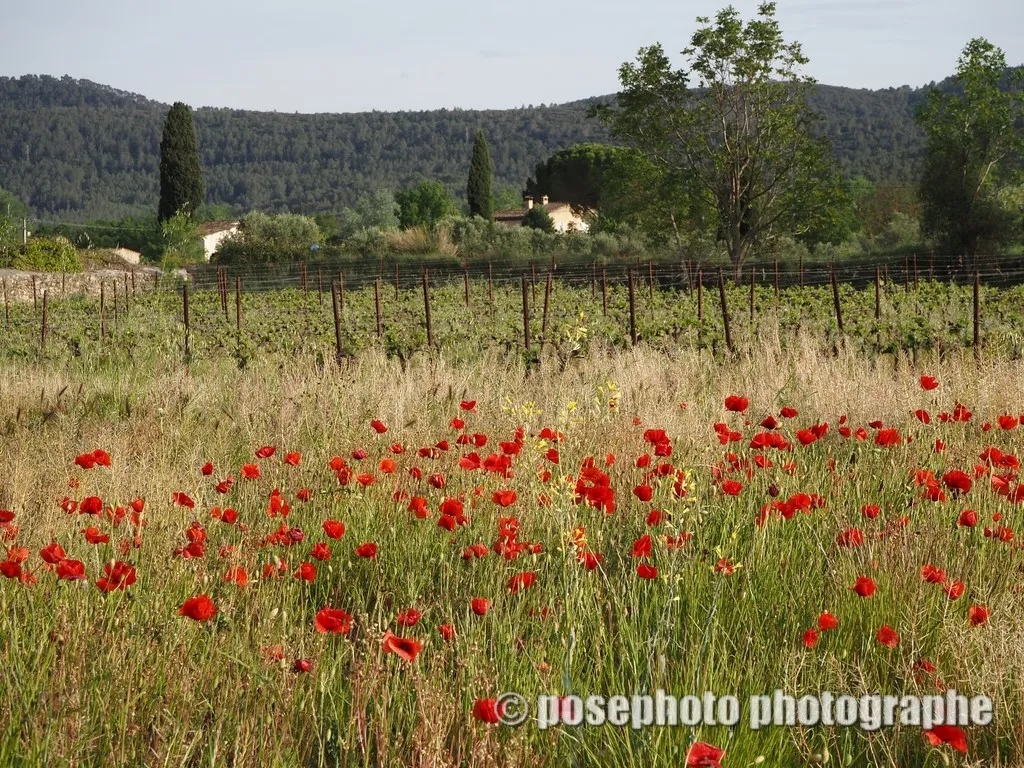 nature var