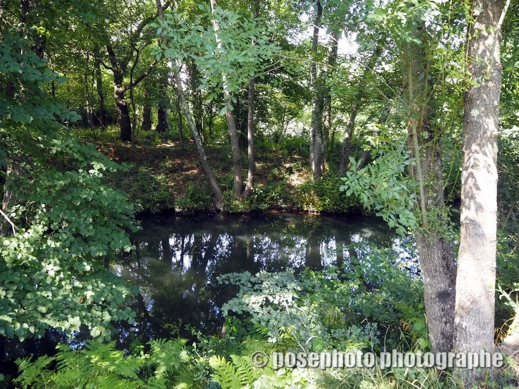 paysage var