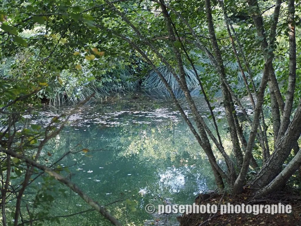 nature var