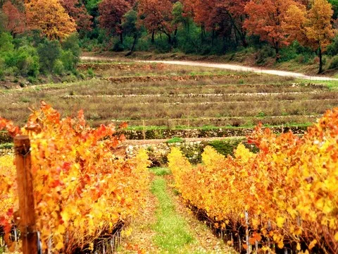 automne var