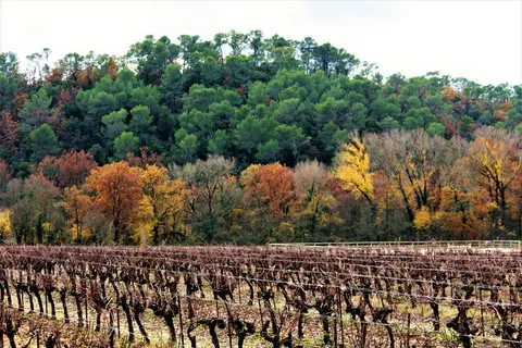 automne var