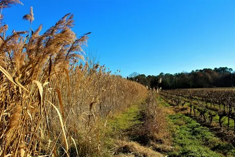 paysage var