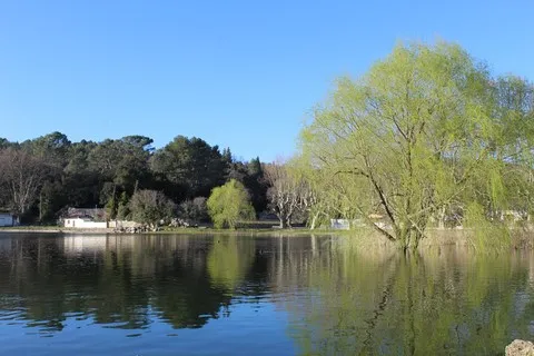 paysage var