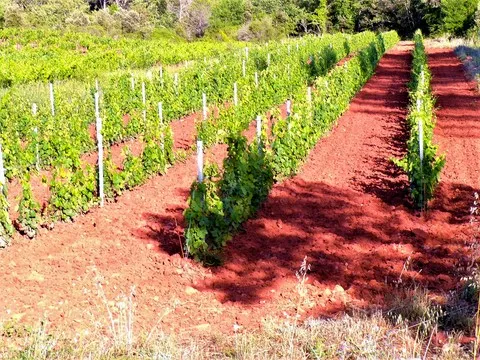 nature var