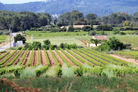 paysage var