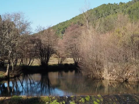 nature var