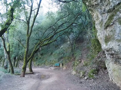 nature var