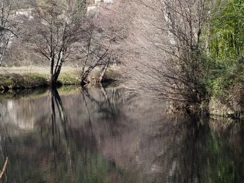 nature var