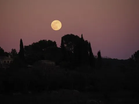 nature var