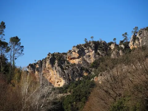 paysage var