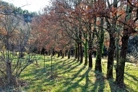 paysage var