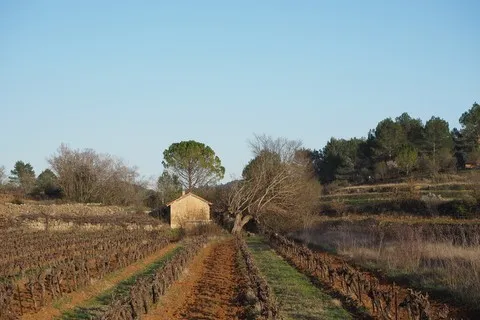 paysage var