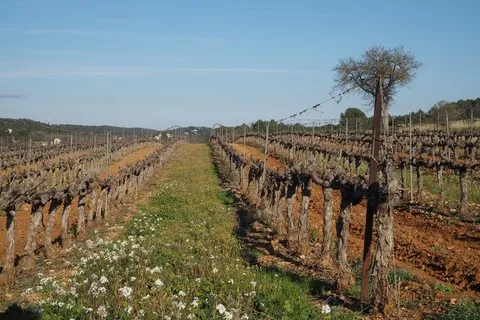 paysage var