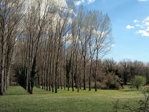 paysage var