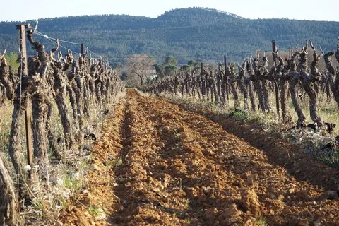 nature var