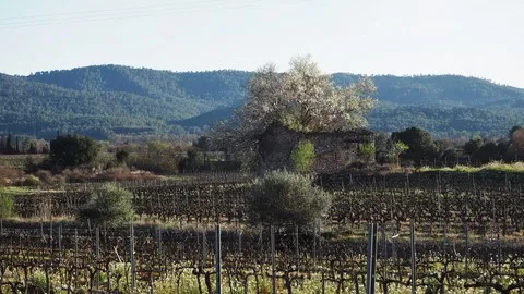 paysage var