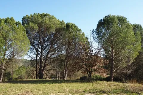 paysage var