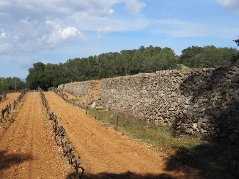 nature var