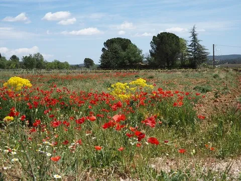 paysage var