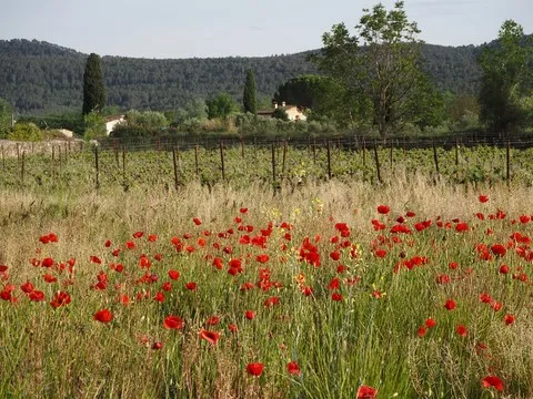 nature var