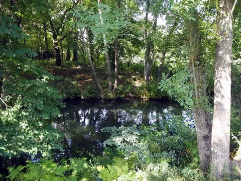 paysage var