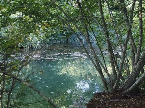 nature var